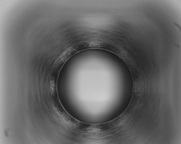 X0000099550648200805231152