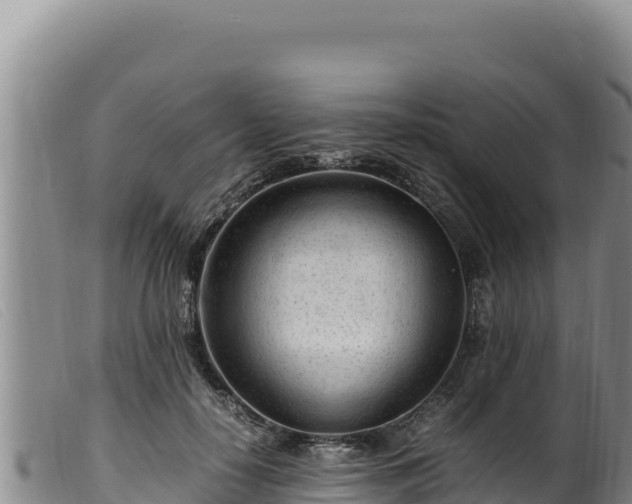 X0000099550650200805231152