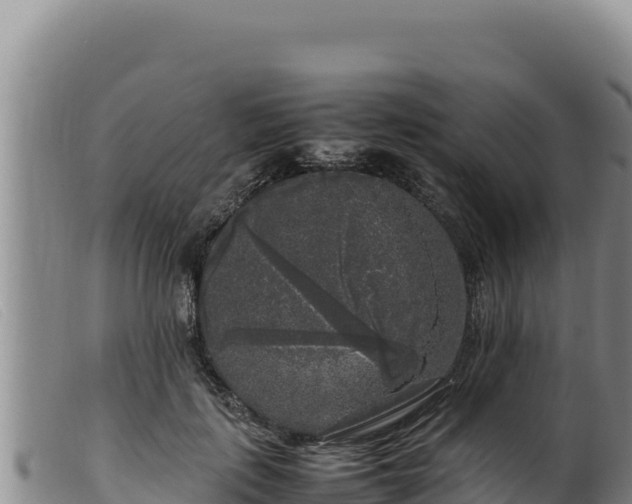 X0000099550651200805231152