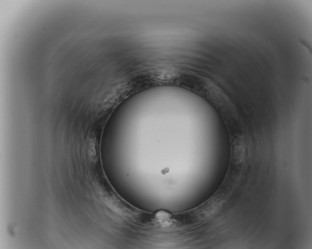 X0000099550654200805231152