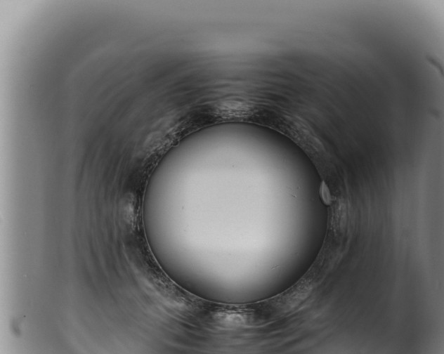 X0000099550655200805231152