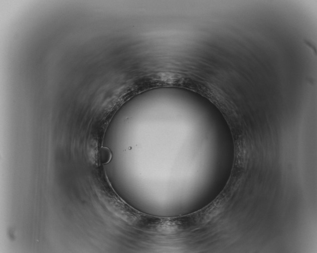 X0000099550656200805231152