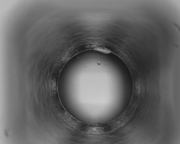 X0000099550657200805231152