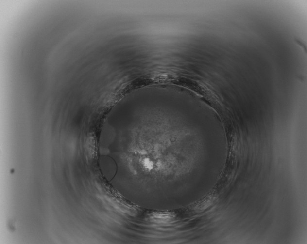 X0000099550659200805231152