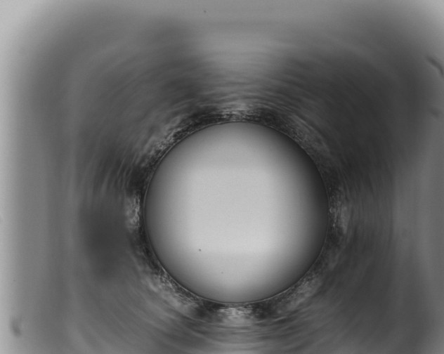 X0000099550660200805231152