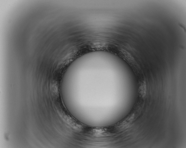 X0000099550662200805231152