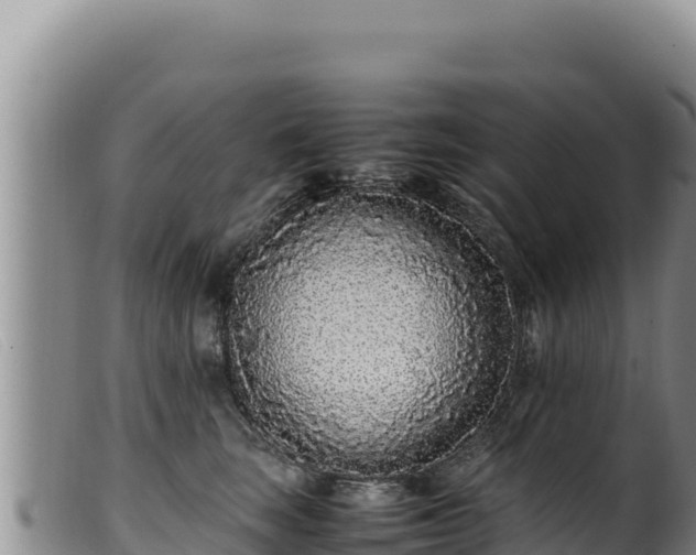 X0000099550663200805231152