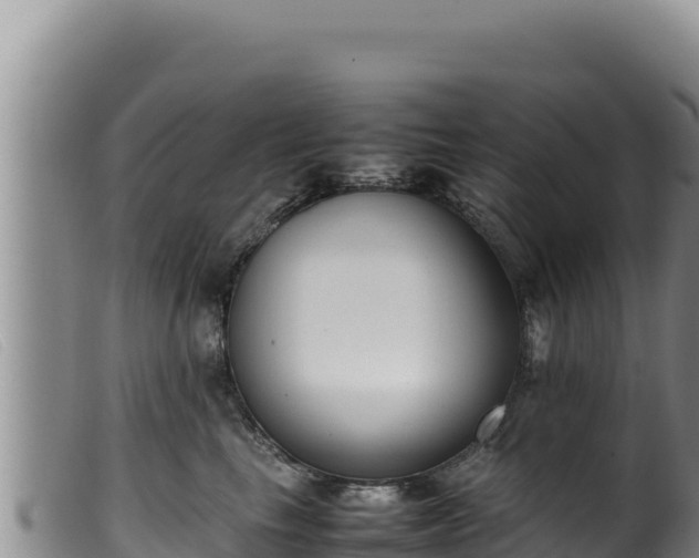 X0000099550665200805231152