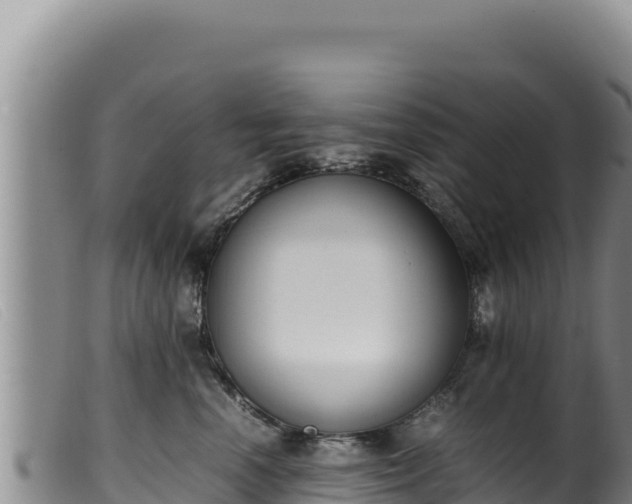 X0000099550666200805231152