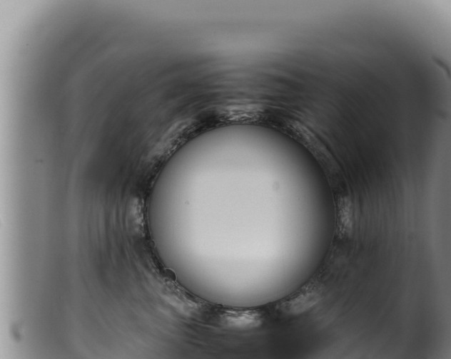 X0000099550667200805231152