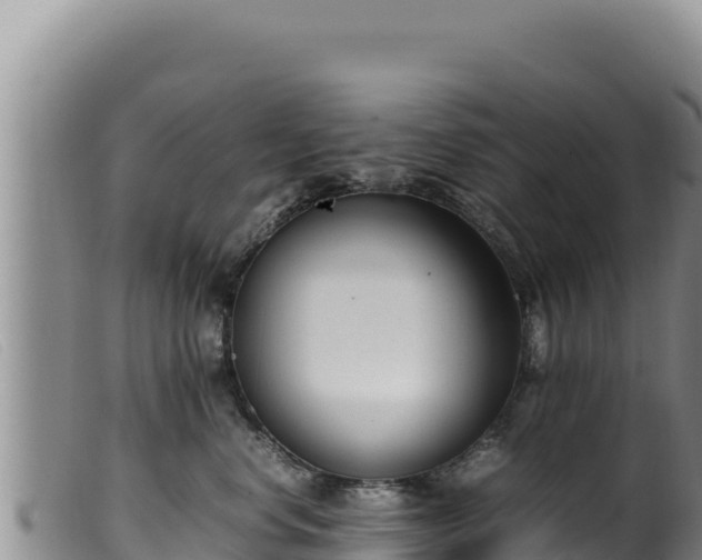 X0000099550668200805231152