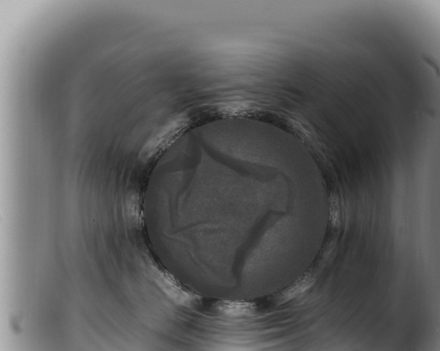 X0000099550670200805231152