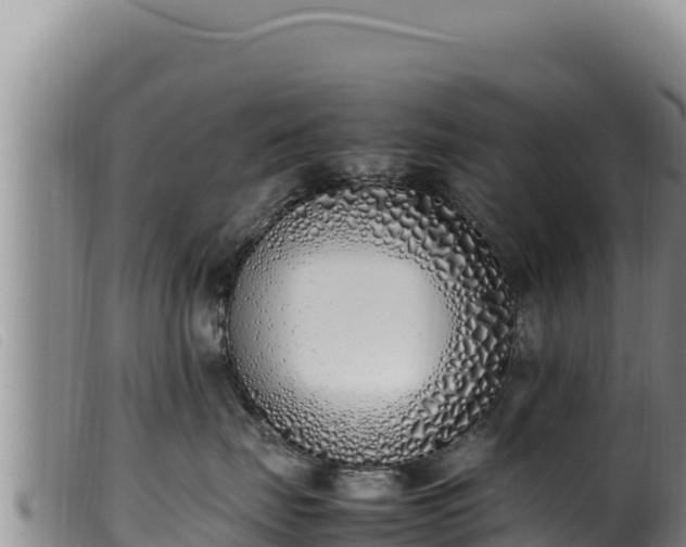 X0000099550671200805231152