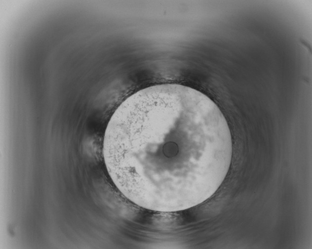 X0000099550672200805231152