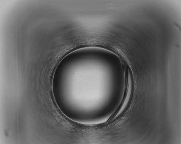 X0000099550673200805231152