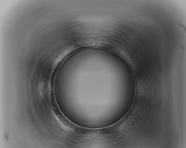 X0000099550674200805231152