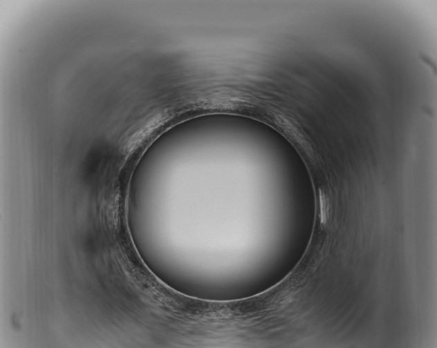 X0000099550675200805231152