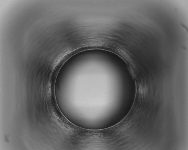 X0000099550676200805231152