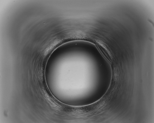 X0000099550677200805231152