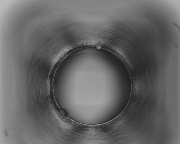 X0000099550678200805231151