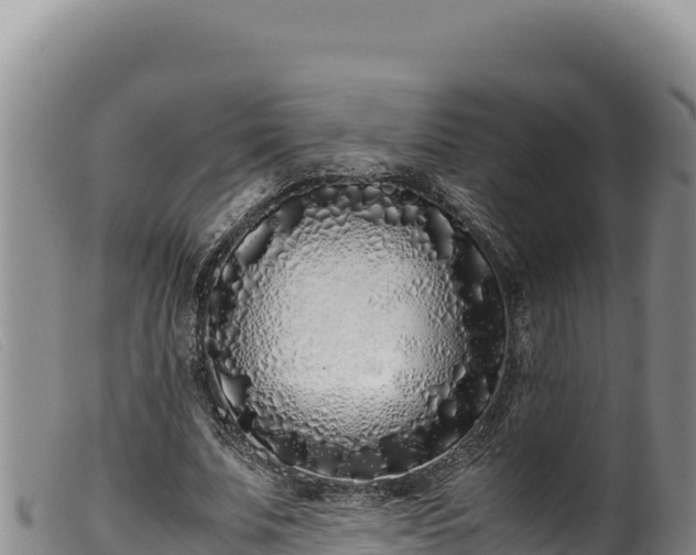 X0000099550679200805231151