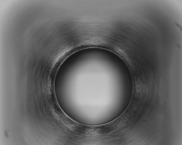 X0000099550680200805231151