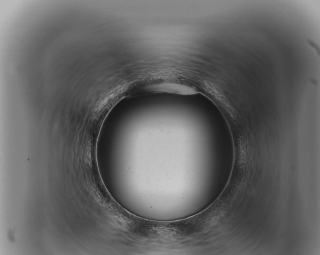 X0000099550681200805231151