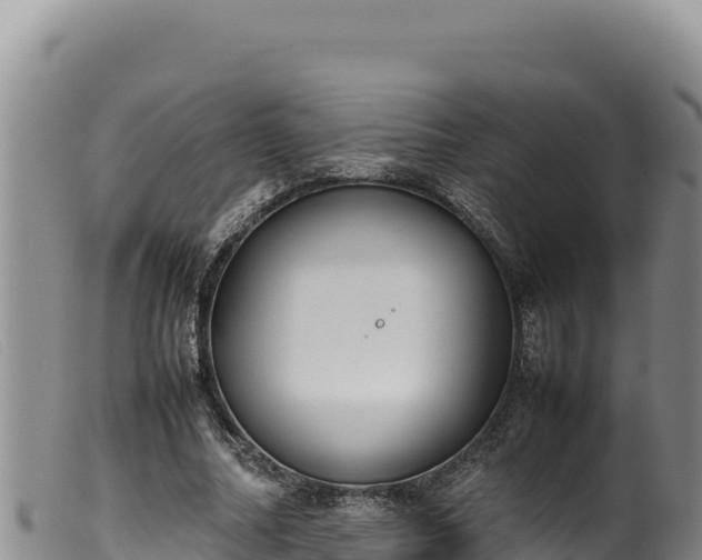 X0000099550682200805231151