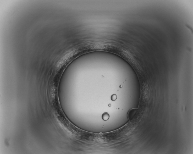 X0000099550683200805231151