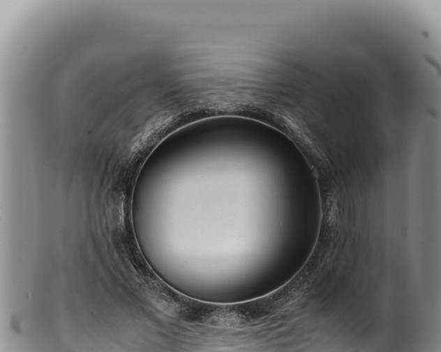 X0000099550685200805231151