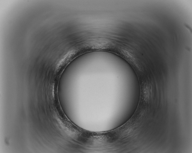 X0000099550686200805231151