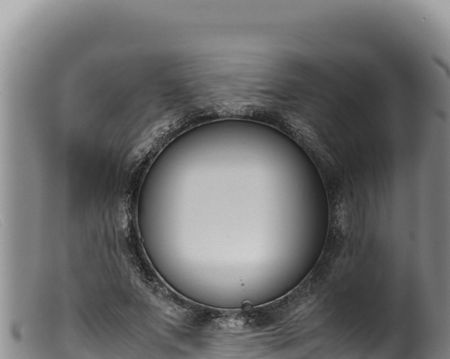 X0000099550687200805231151