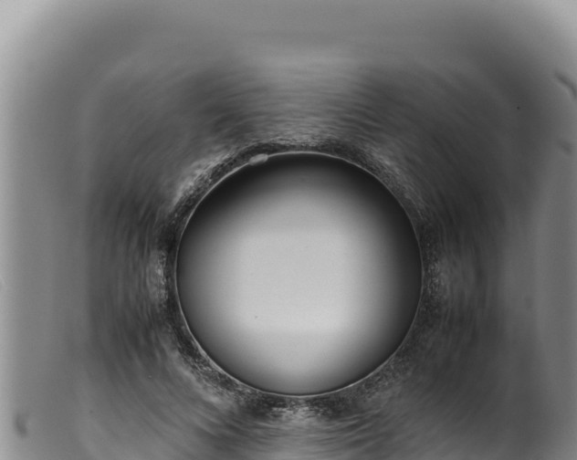 X0000099550688200805231151