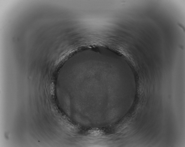 X0000099550689200805231151