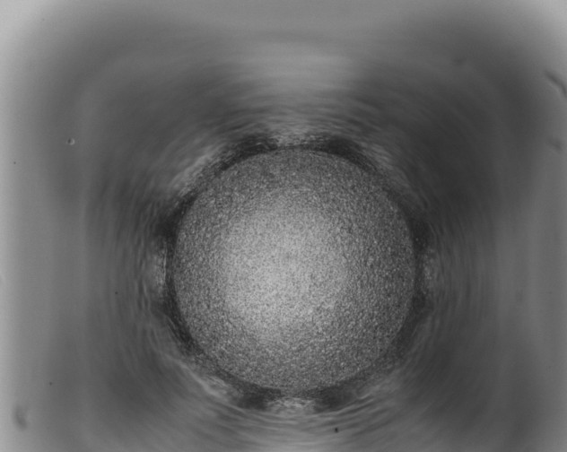 X0000099550691200805231151