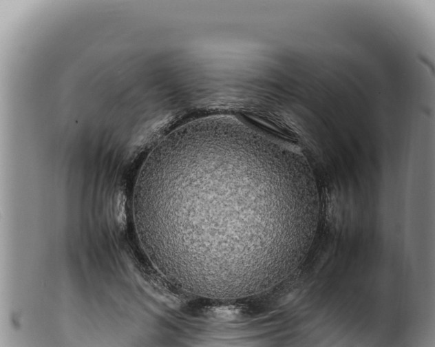 X0000099550692200805231151