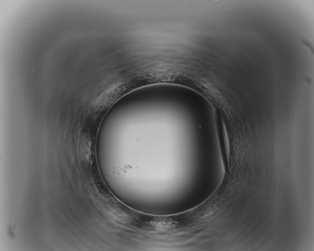 X0000099550693200805231151