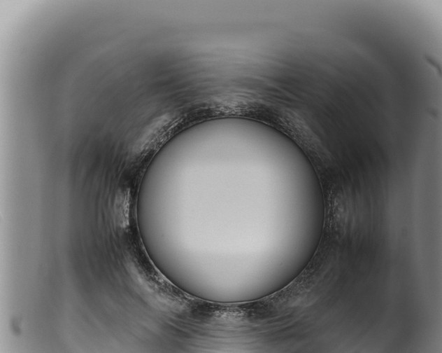 X0000099550694200805231151