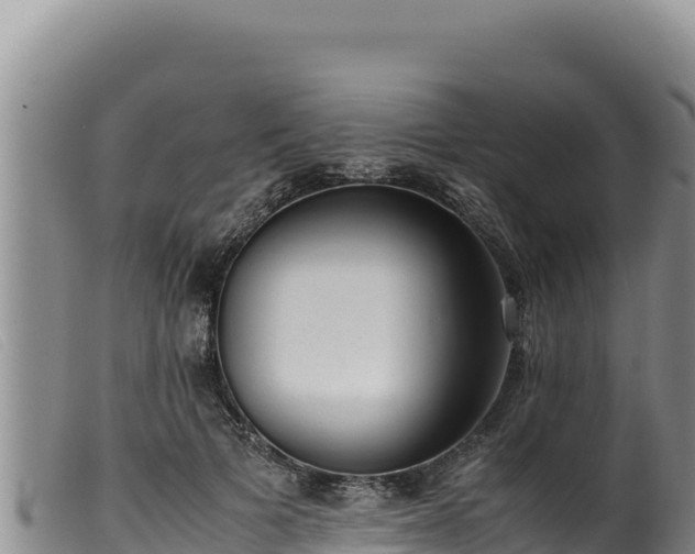 X0000099550697200805231151