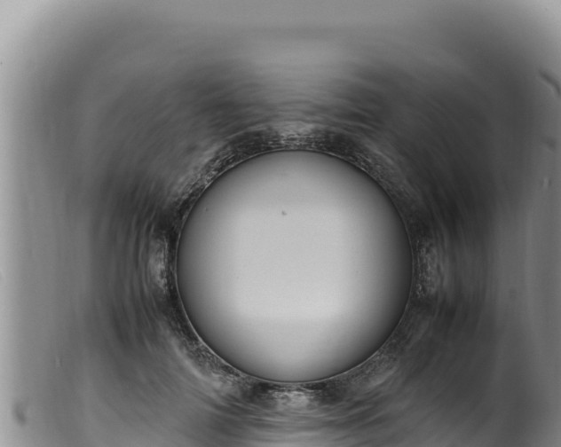 X0000099550698200805231151