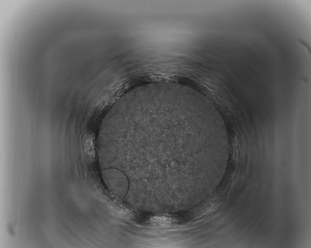 X0000099550699200805231151