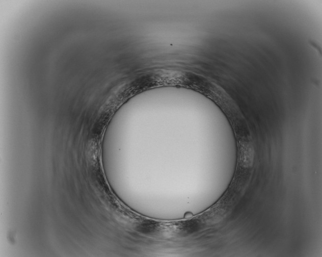 X0000099550701200805231151