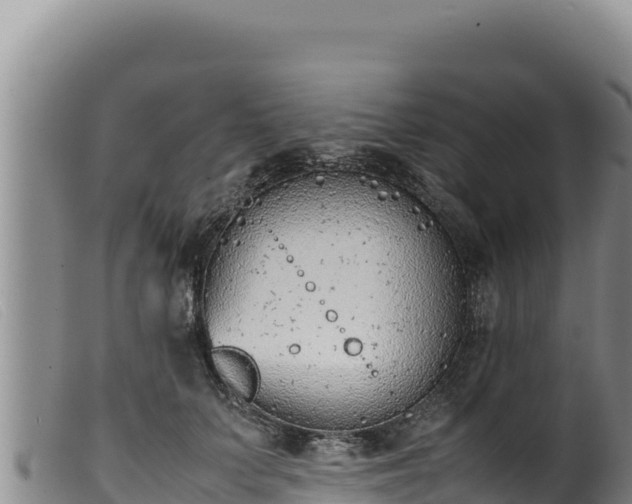 X0000099550703200805231151