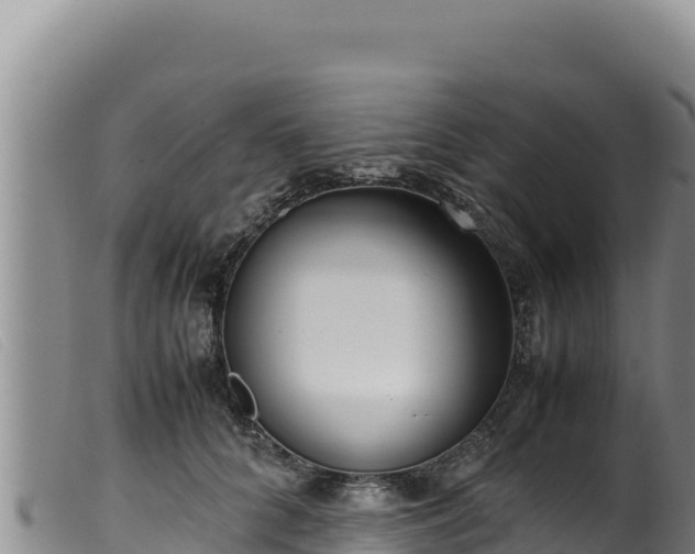 X0000099550704200805231151