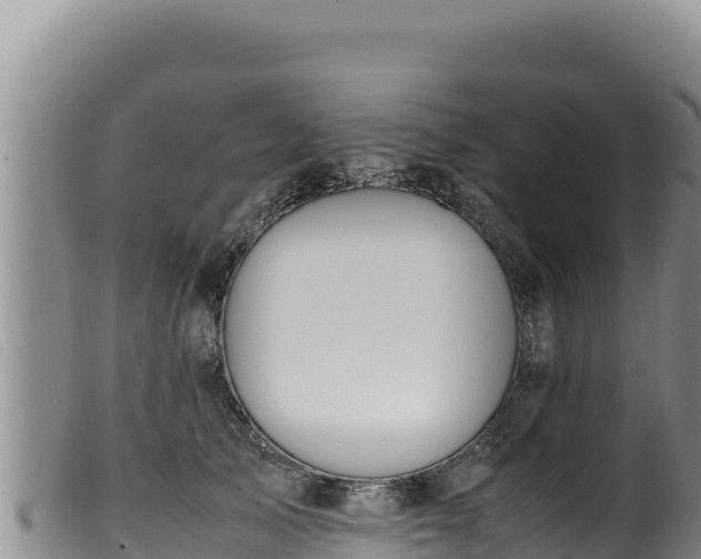 X0000099550705200805231151