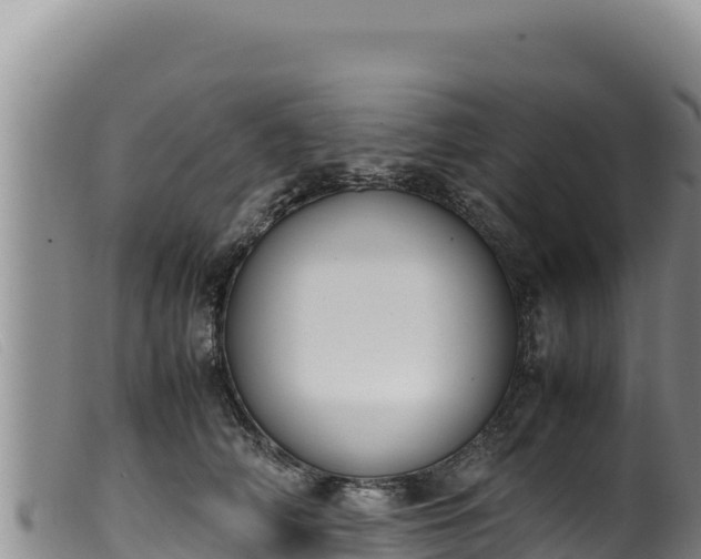 X0000099550706200805231151