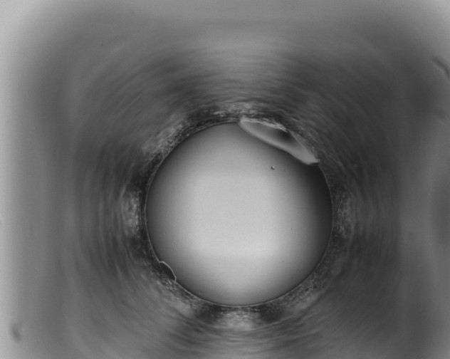 X0000099550708200805231151