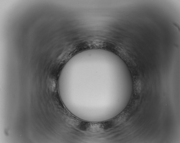 X0000099550709200805231151