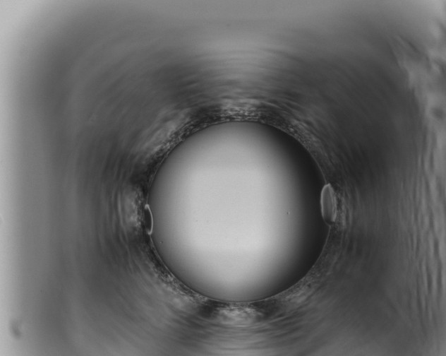 X0000099550712200805231151