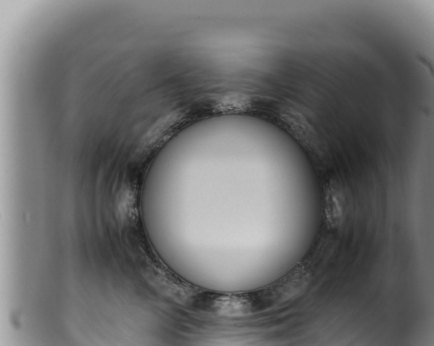 X0000099550714200805231151